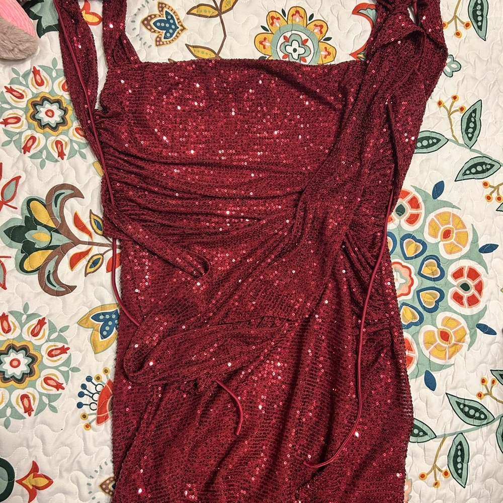 Lucy in the Sky Burgundy Sequin Dress